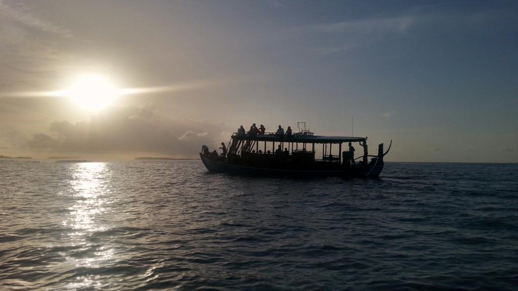 Sunset Dophin Cruise - Image 4